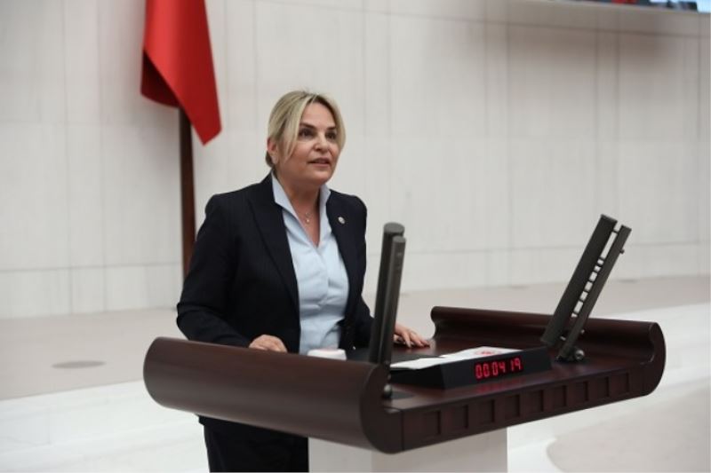 CHP’li Hancıoğlu: Fındık üreticimizi, kartel hizmetkârı iktidardan kurtaracağız!