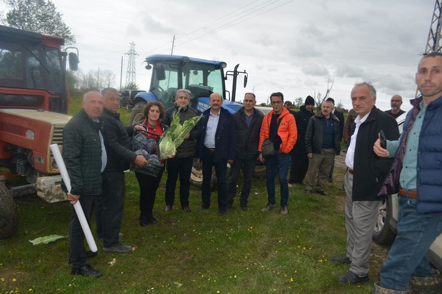 AKP’Lİ SAMSUN BÜYÜKŞEHİER BELEDİYESİNİN HAL PORJESİNİ BAFRA TÜRBE MAAHLLESİ ÇİFTÇİLERİ TARIM ARAZİLERİNDE MLLETVEKİLİ ADAYLARIYLA PROTESTO ETTİLER.