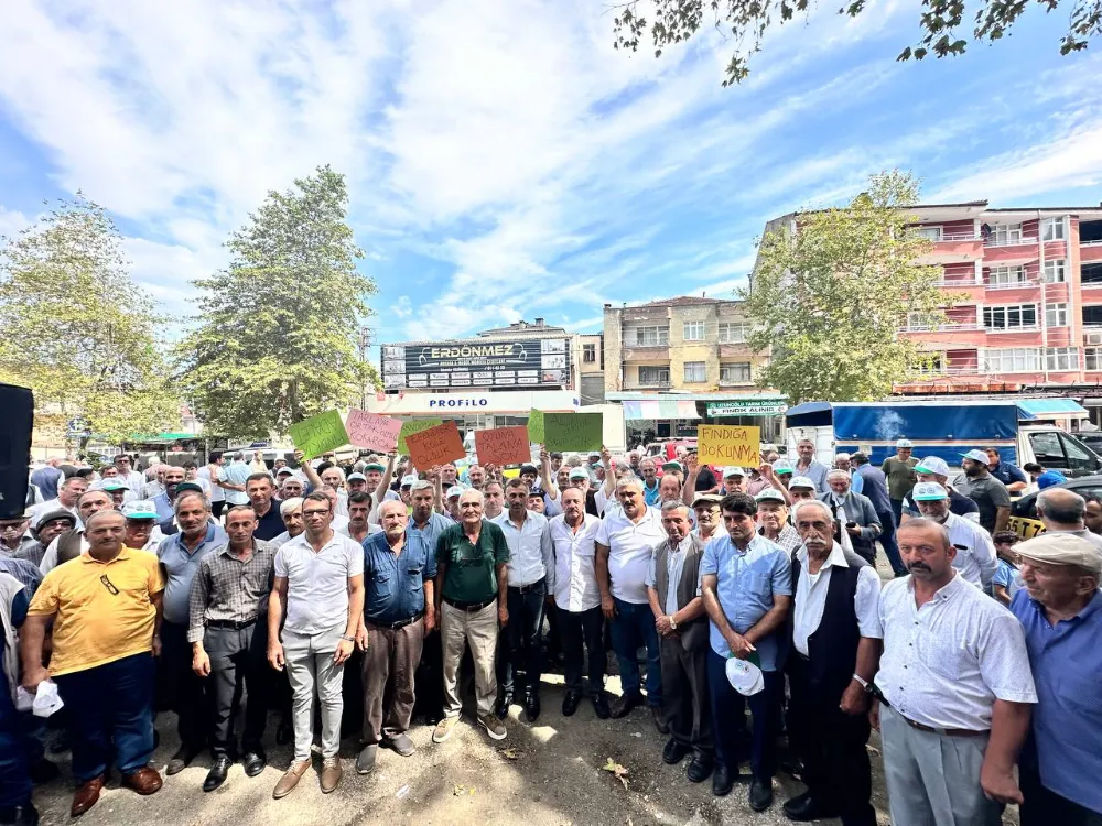 Ayvacık ziraat odası başkanı Avcı; “Altı ayaklı kokarcanın vermediği zararı iki ayaklı fırsatçılar verdi.”