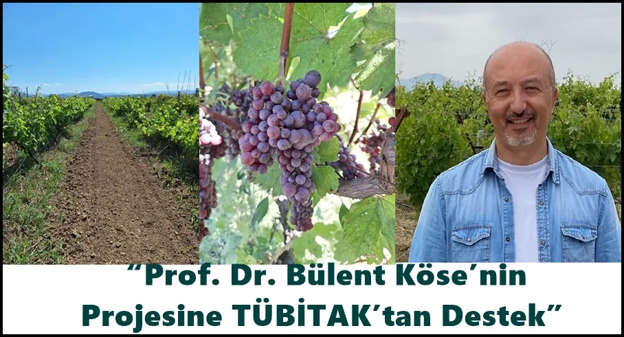 Prof. Dr. Bülent Köse’nin Projesine TÜBİTAK Desteği