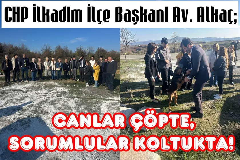 BU DEVLET CANLILARINA DÜŞMAN MI? 