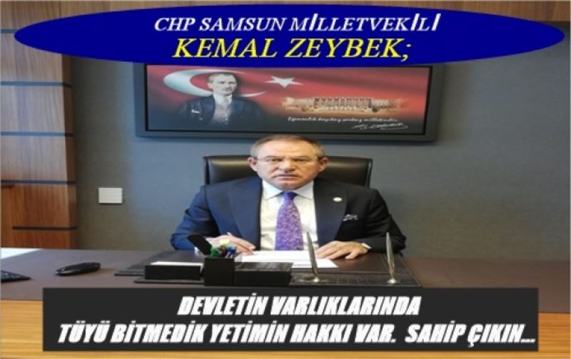 KEMAL ZEYBEK; DEVLETİN VARLIKLARINA SAHİP ÇIKIN