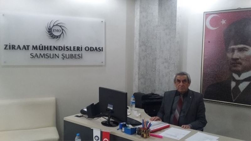 KÜRTÜN ÇAYI VADİSİ 1.SINIF TARIM ALANIDIR VE YAPILAŞMAYA AÇILAMAZ!