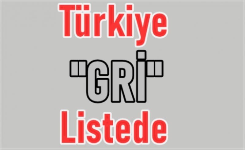 Mali Eylem Görev Gücü, Türkiye