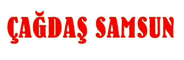 Eğitim İş Samsun Şube Başkanı Onur Gündüz  
